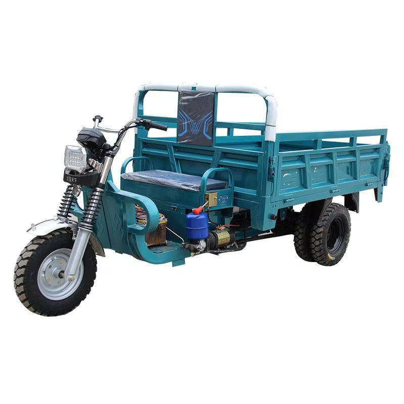 1000W Electric Cargo Tricycle