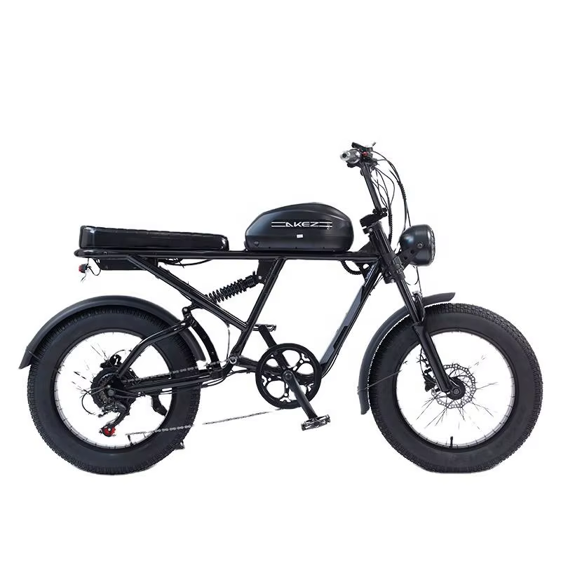 48V Electric Mountain Fat Hybrid Bike for Adults