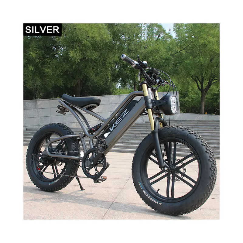 High-End OEM 27.5/29 Inch 36V 250W/500W Mid Drive Motor Mountain Electric Bike