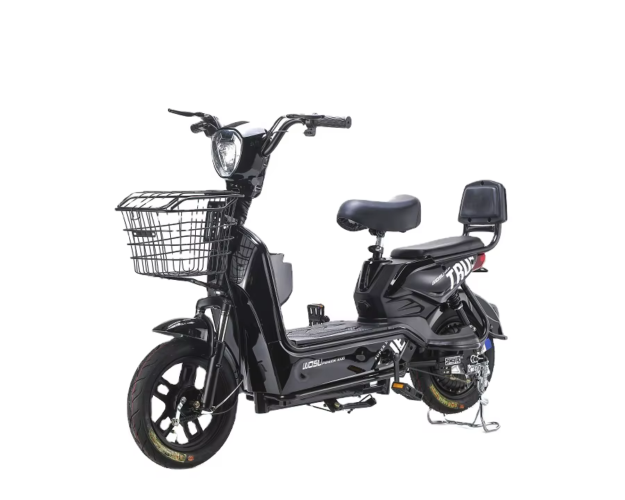 China Low Price 500W 48V Electric Bike