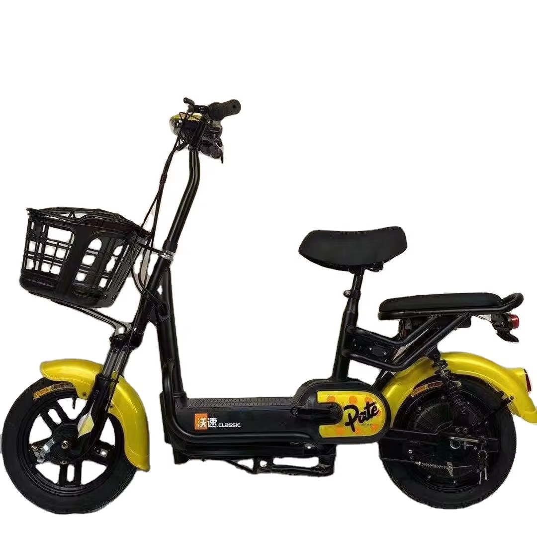 Factory Price 2-Seat City E-Bike 350W