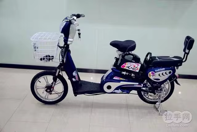 48V 350W Electric Bicycle with 24-Speed Gear System