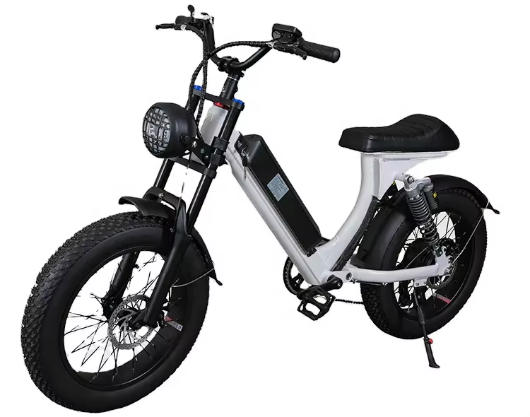 Good And Cheap 20 Inch Thick Tire 500W 48V 12Ah Lithium Battery Electric Bicycle
