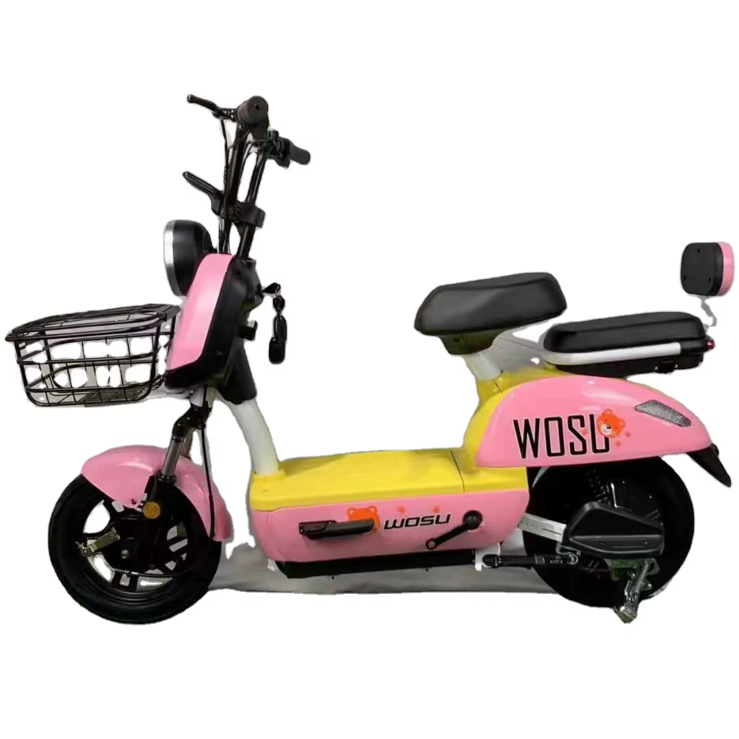 350W 48V Electric Bicycle with 14 Inch Tires