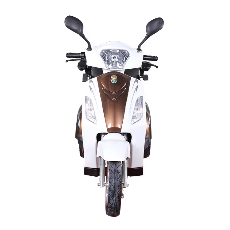 Vista-L1 2-Seat Electric Tricycle for Adults