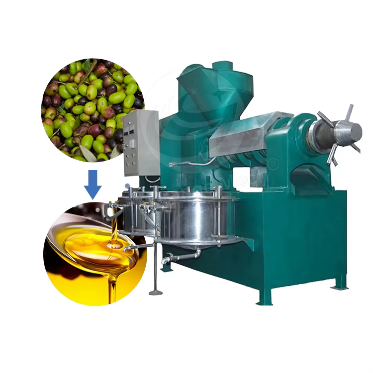 Best Quality Avocado Oil Extractor