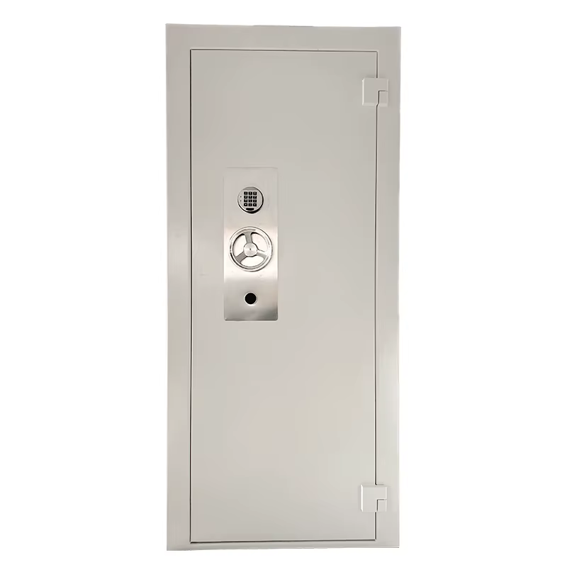 Large Fireproof Vault Door with Digital Lock and Customizable Size