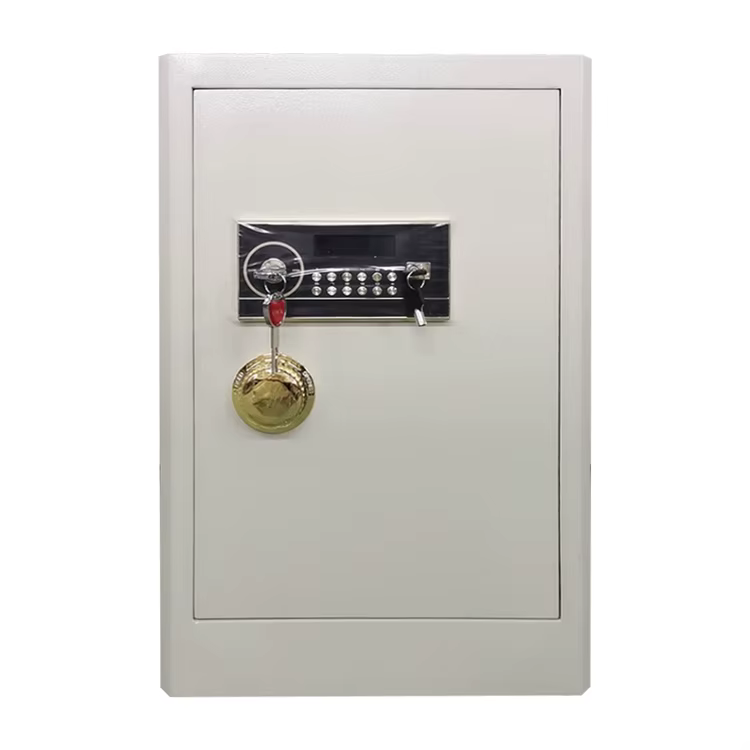 Digital Fingerprint Lock Safe