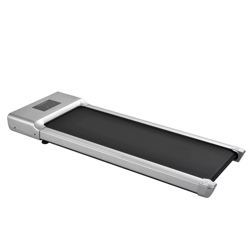 Foldable Fitness Equipment Cardio Treadmill Walking Pad