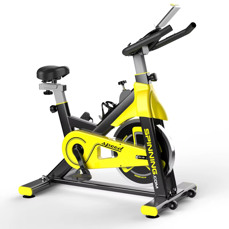 Home Commercial Indoor Spin Bike