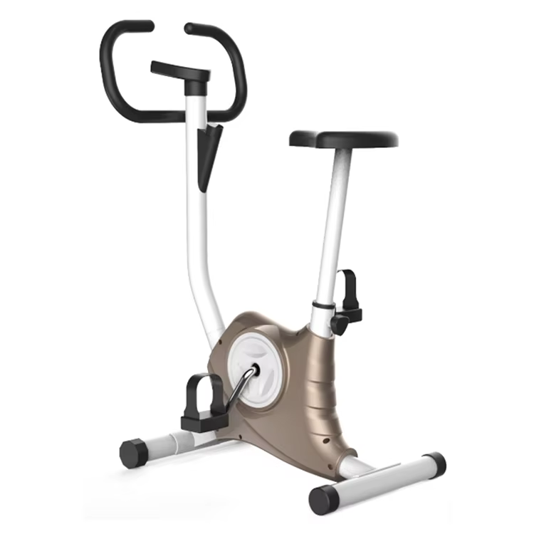 Portable Magnetic Exercise Bike