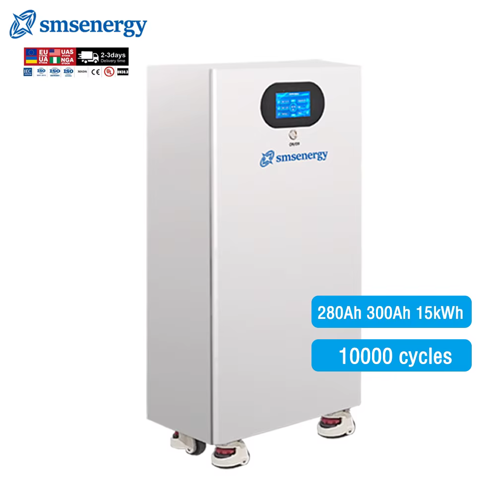 Solar Lithium Battery LiFePO4 10000 Cycles