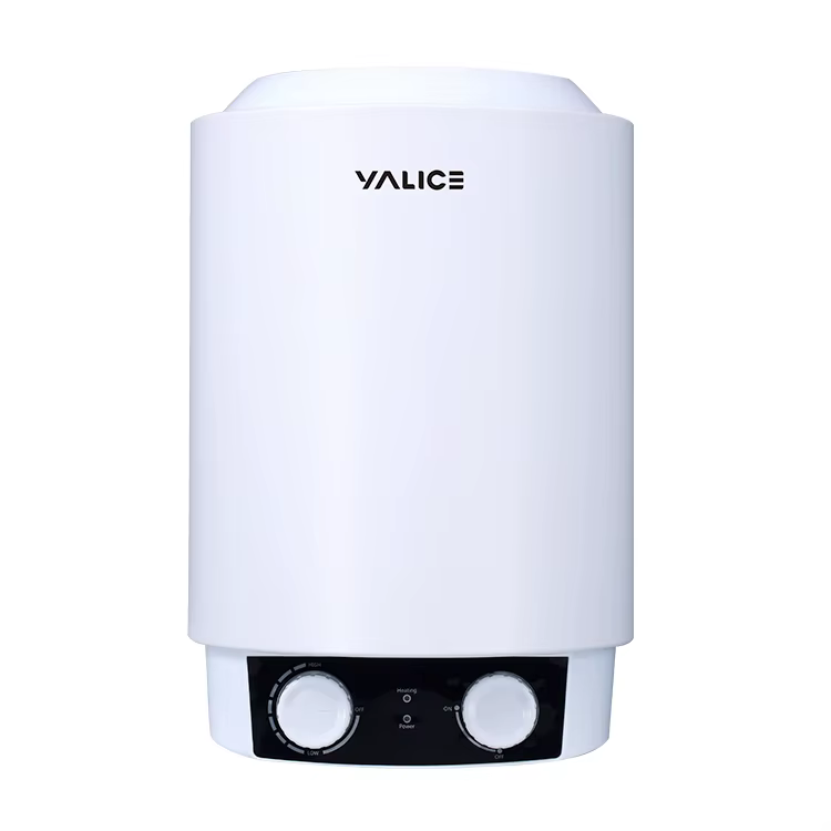 Vertical Wall Mounted Storage Electric Water Heater