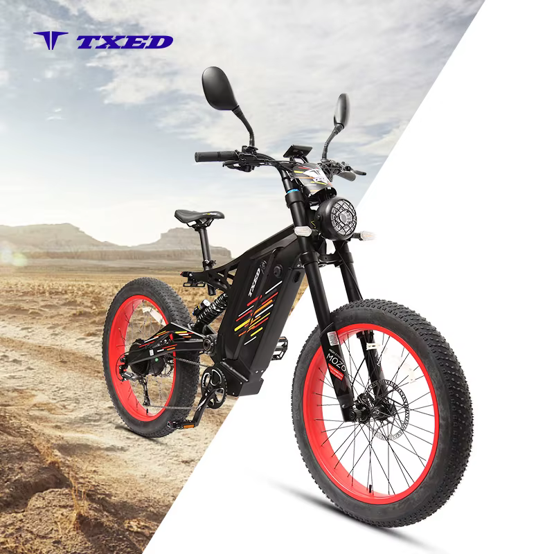 TXED New Fashion 24 Inch Suspension Electric Dirt Bike