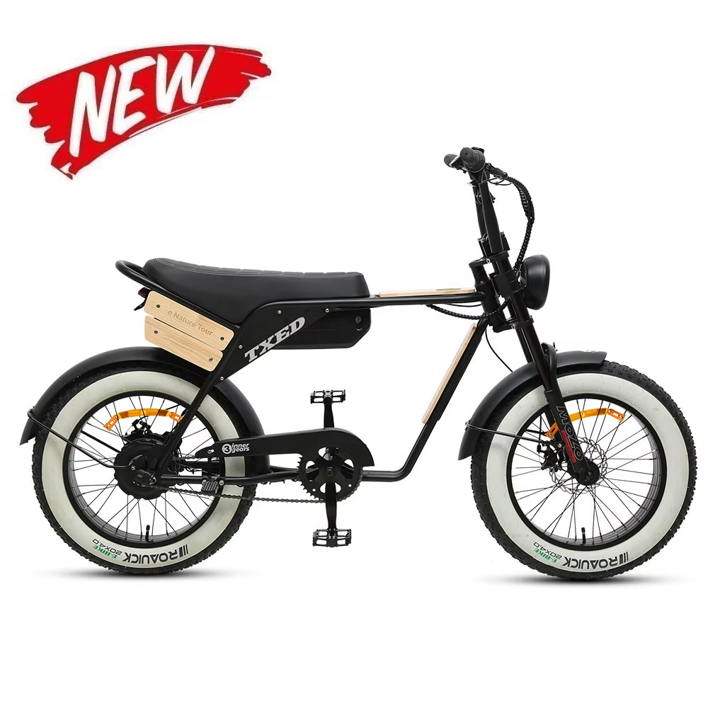 TXED Fatbike Electric Motorcycle