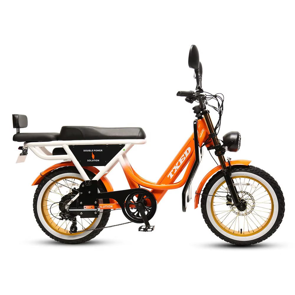 TXED 250W 48V Rear Hub Electric Motorcycle