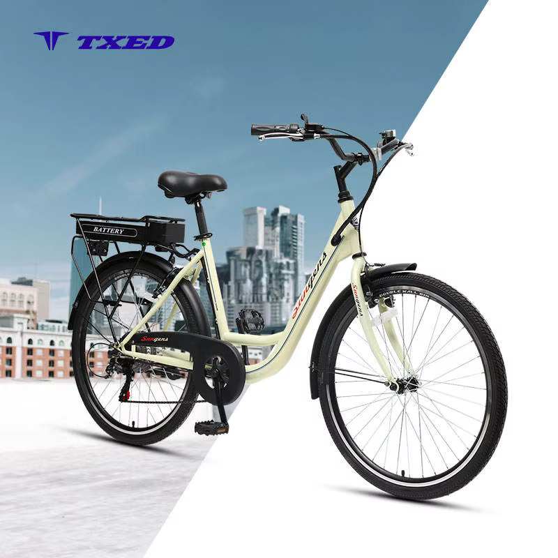 TXED 250W 36V Electric City Bike
