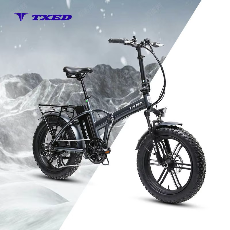 TXED 20"x4.0'' Tire 7-speed Electric Folding Bike