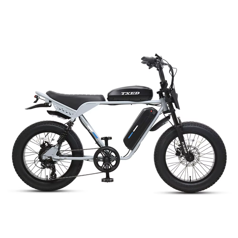 TXED High Quality Popular 48V/750W Rear Hub Motor Electric Motorcycle Bike