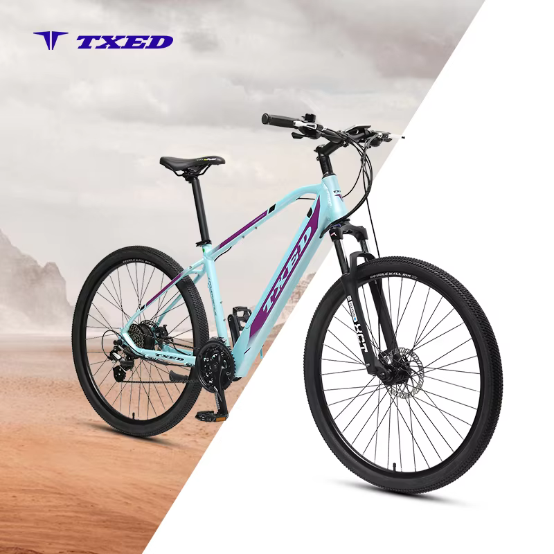 TXED Custom 29 Inch Mountain E-Bike