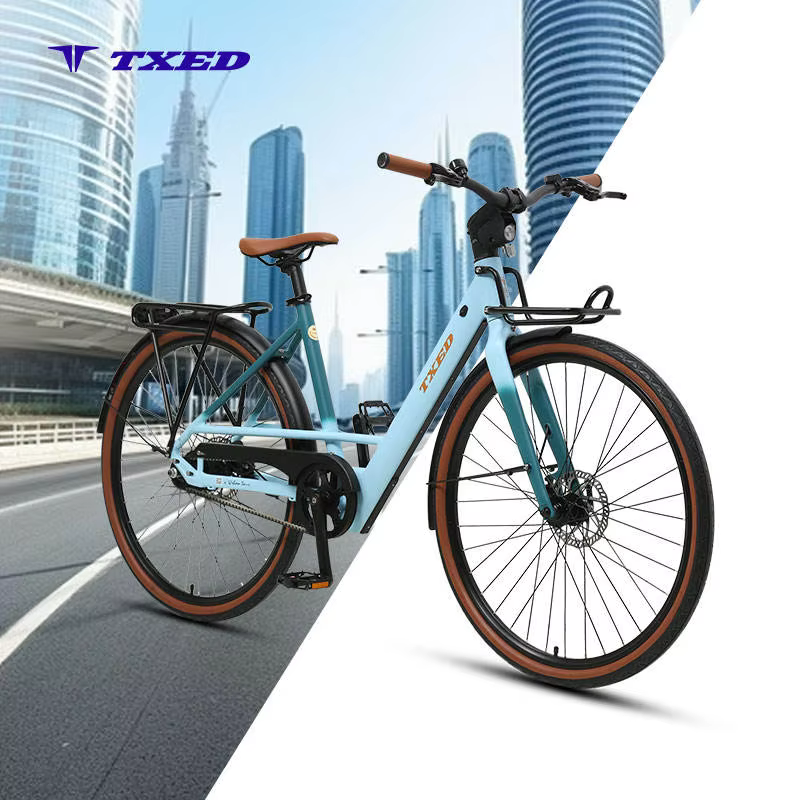 TXED 10.4AH 36V Single Speed Electric City Bike