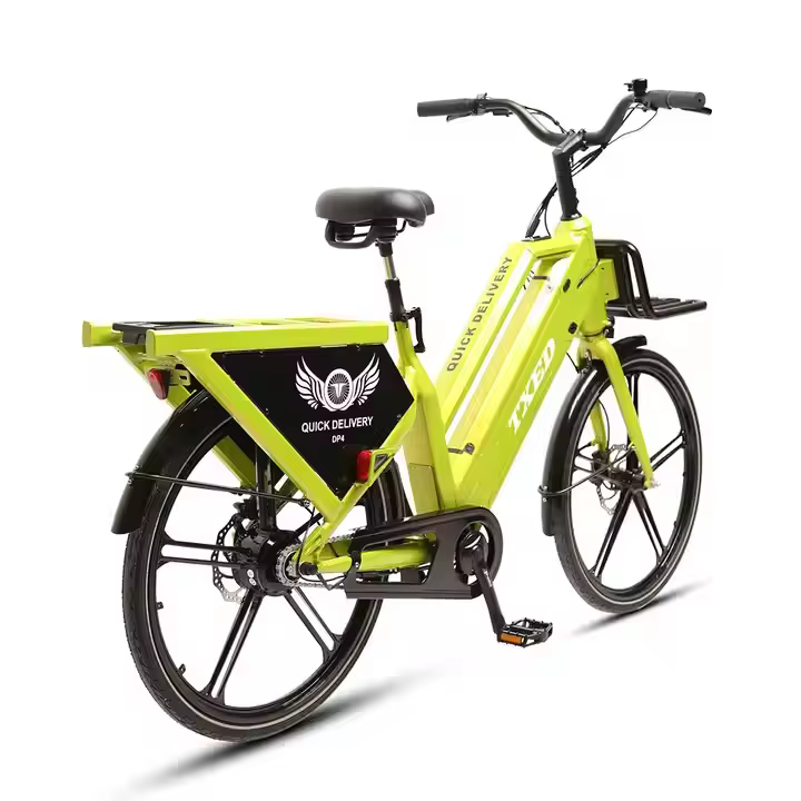 TXED Popular 48V 350W Rear Hub Motor Electric Cargo Bike