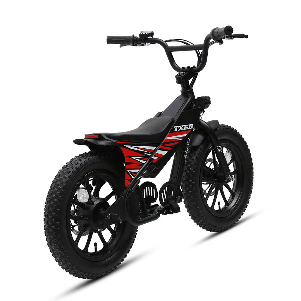 TXED Popular 16 Inch Integrated Wheel Kids Electric Bike