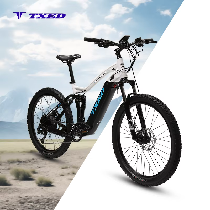 TXED New Hidden 48V Lithium Battery Mountain Bike
