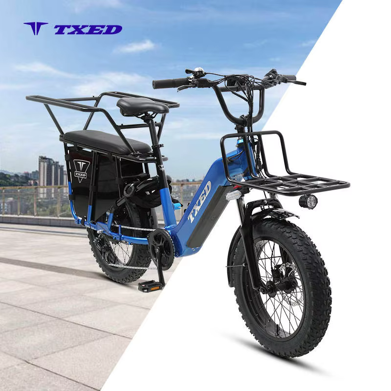 TXED Popular 48V/20AH Lithium Battery Electric Cargo Bike