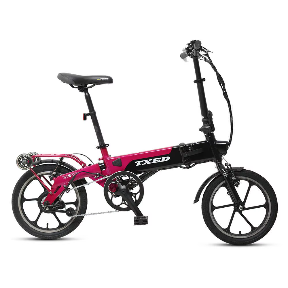 TXED 36V 250W Electric Folding Bike