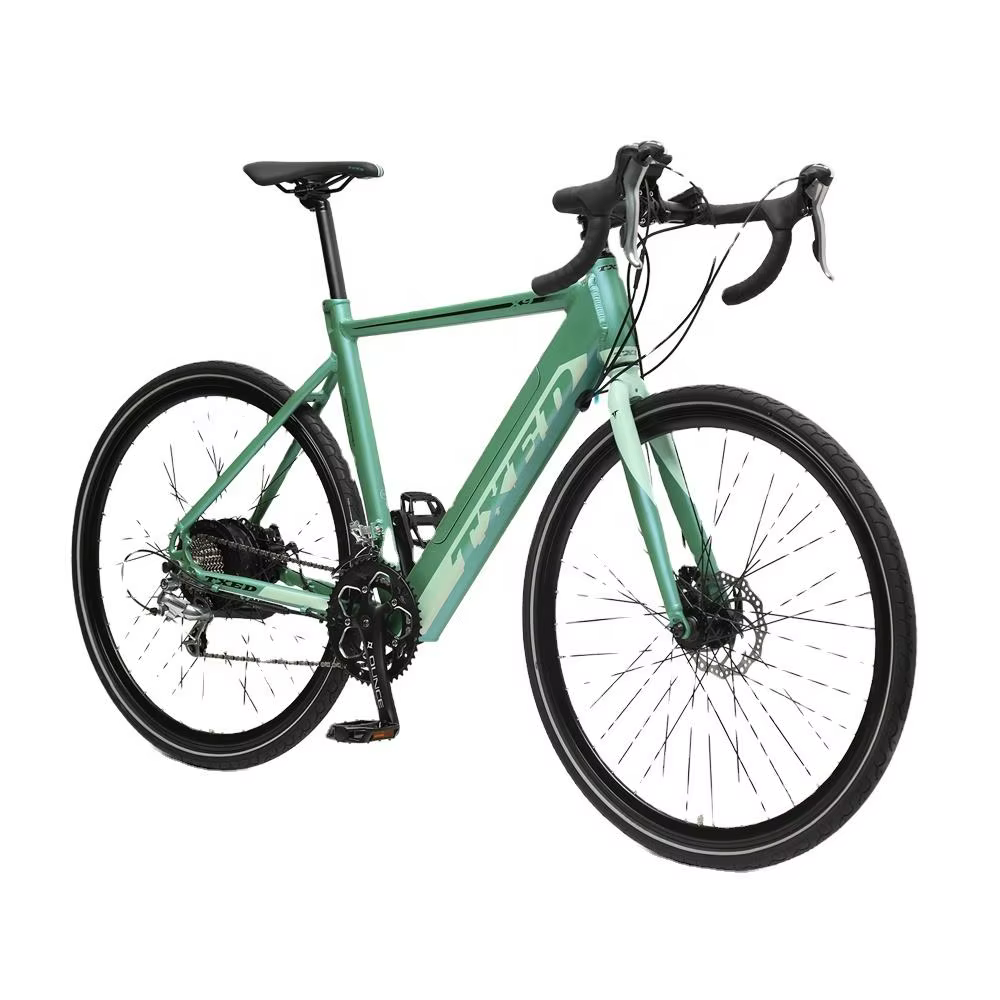 TXED Hot Selling Brushless 48V 500W Electric Road Bike
