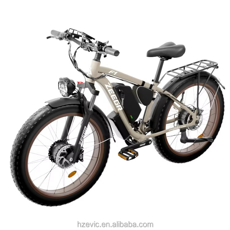 ZEEGR 48V 2000W Removable Battery Electric Bicycle
