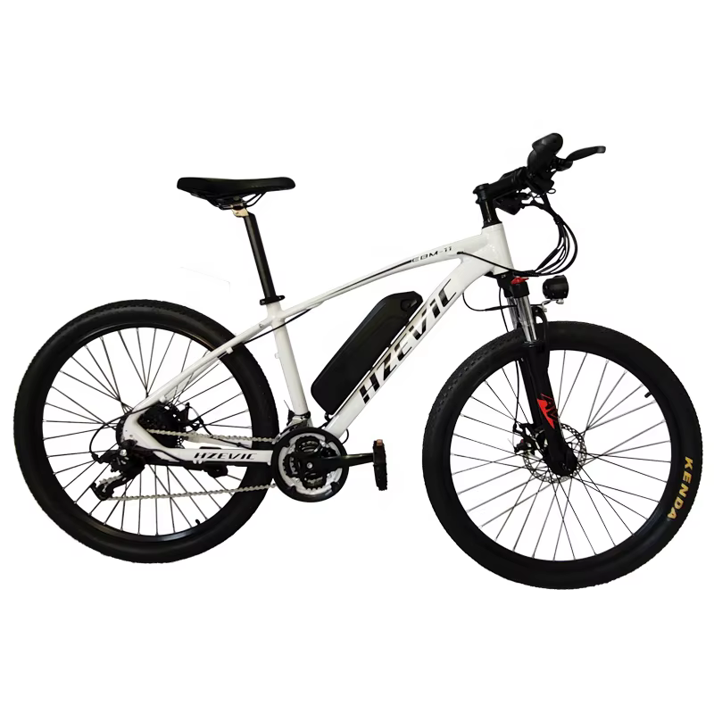 21 Speed Electric Bike 48V 250W
