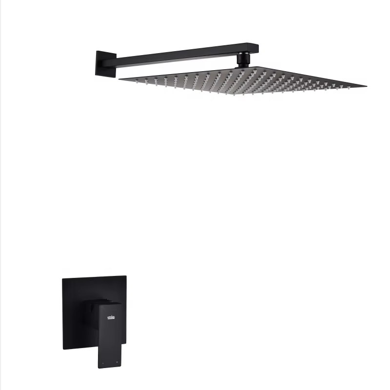 SUS304 Fixed Overhead Shower Head in Matte Black
