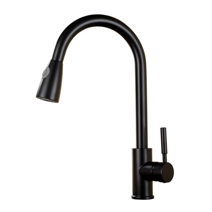 Economic Flexible Pull Out Kitchen Faucet
