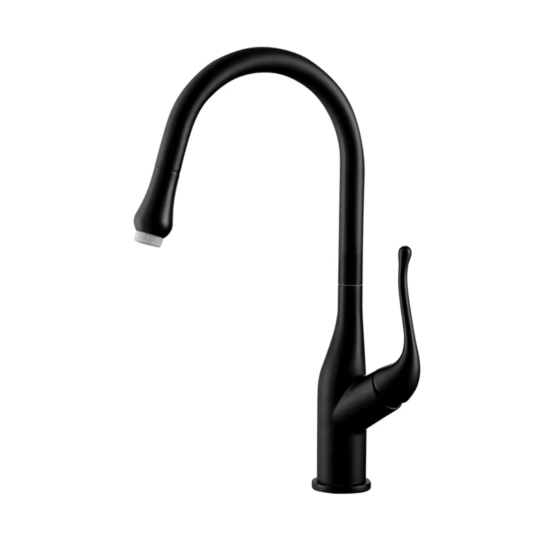 Modern Kitchen Sink Faucet