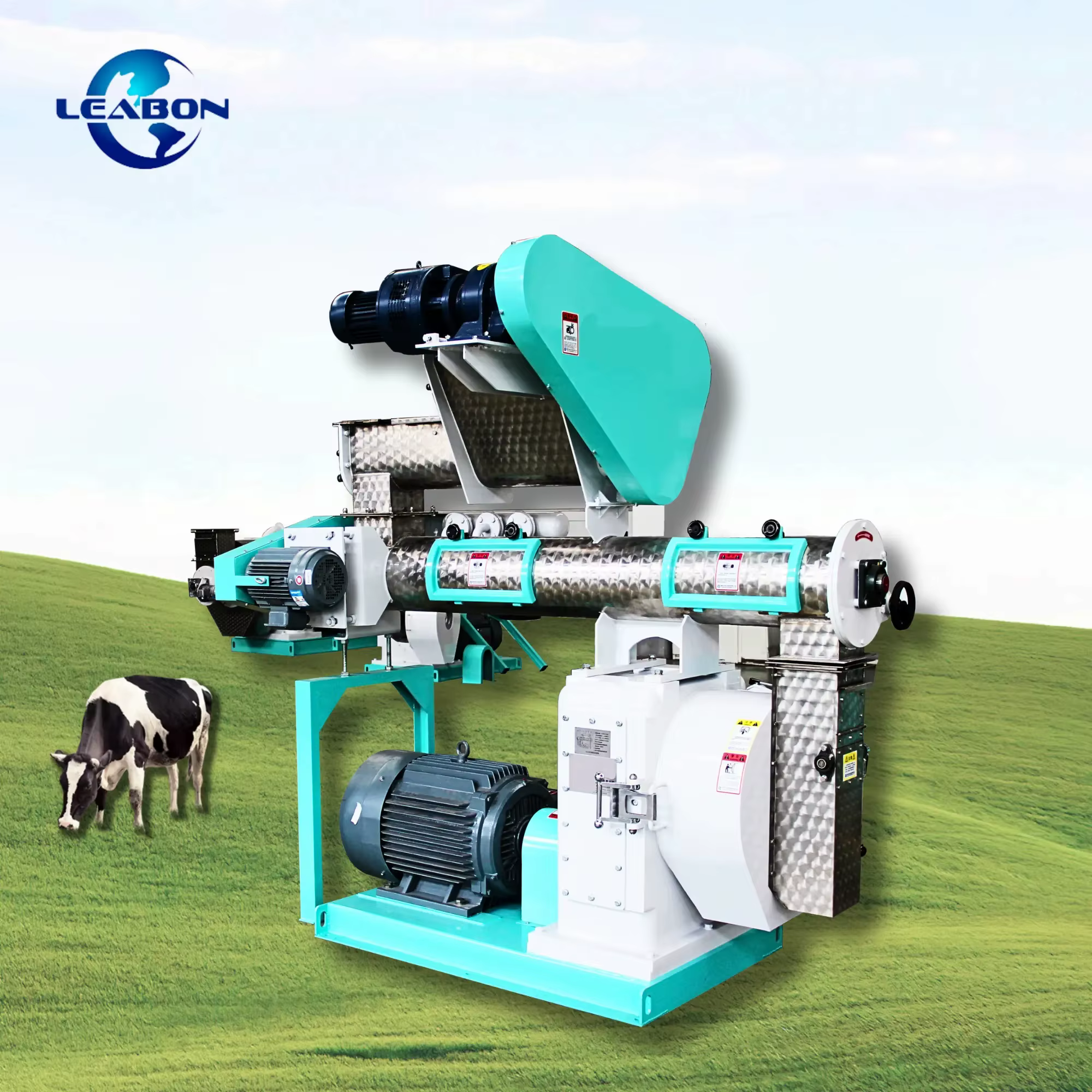Soybean Pelletizing Chicken Feed Pellet Making