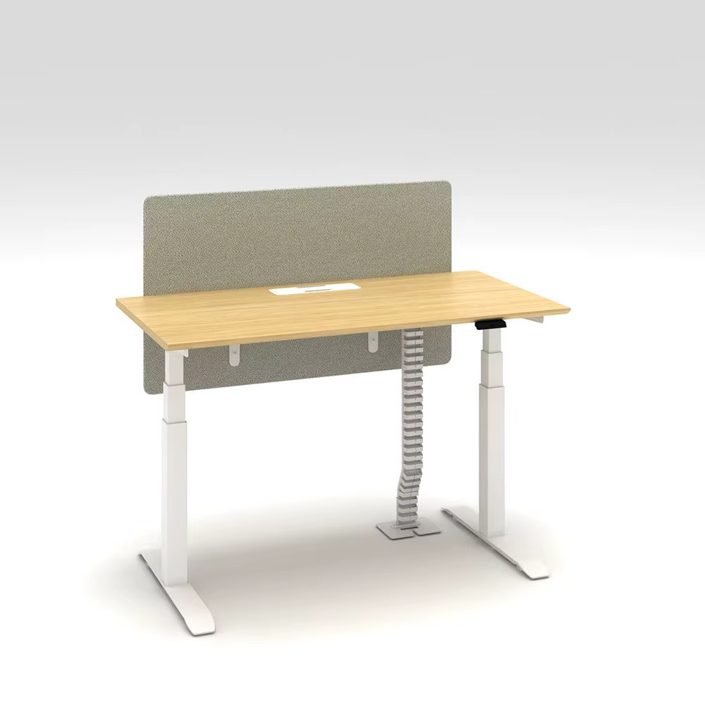 Electric Computer Table Adjustable Height Sit