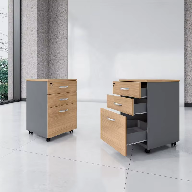 Customized Simple Design Movable Cabinet Document