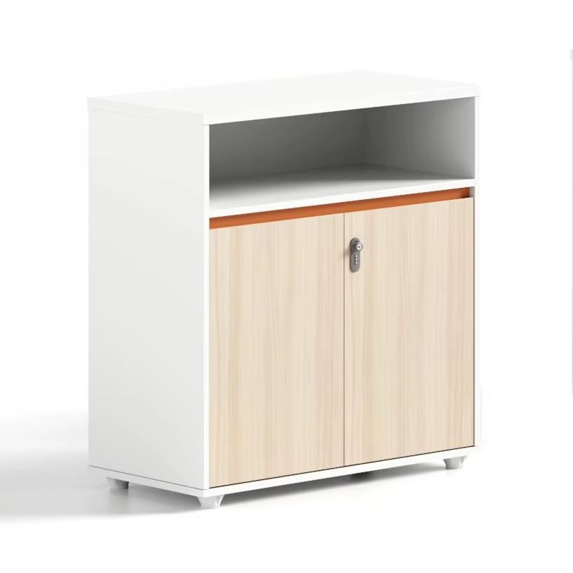 Office Wooden Floor Data Cabinet Storage