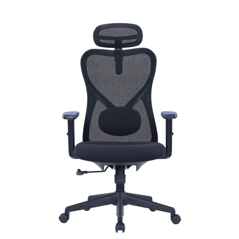 Office Chairs Luxury Modern Ergonomic Revolving