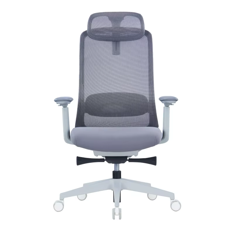 Office Chair With Adjustable Lumbar Support