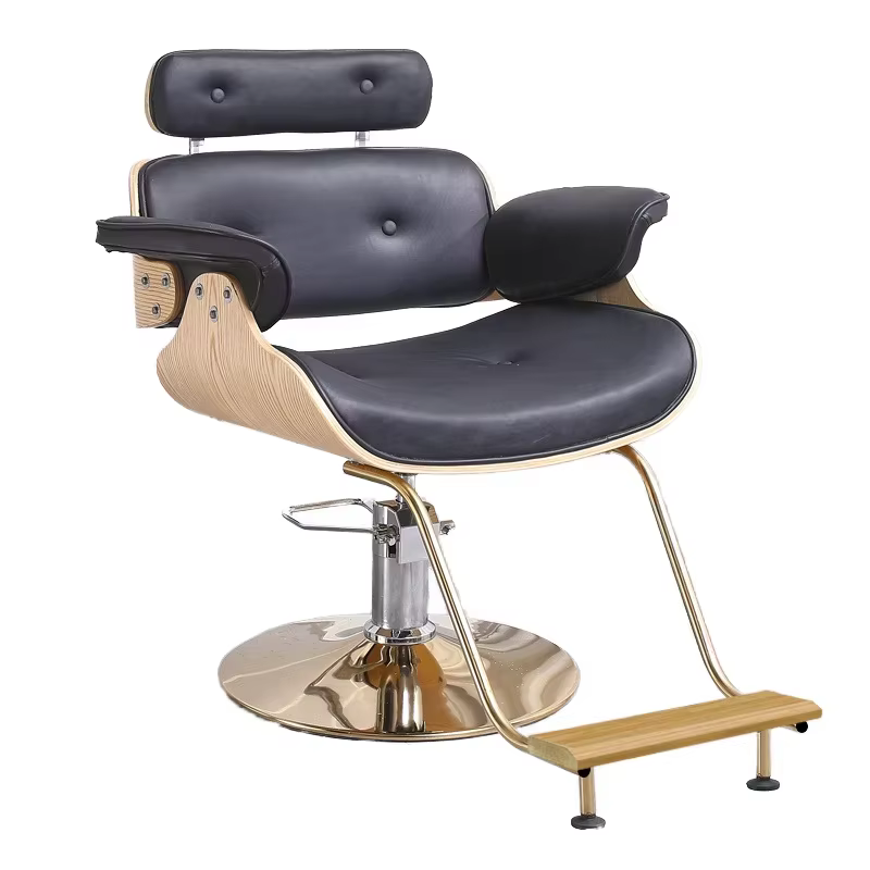 Salon Styling Chair Fashionable Beauty Styling