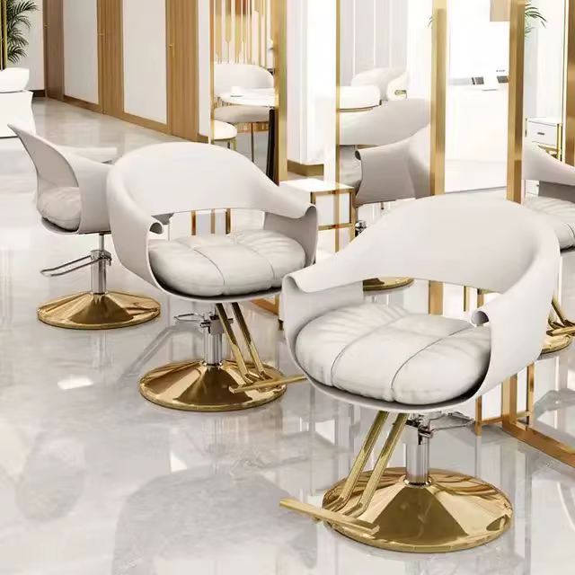 Luxury Leather Salon Chair With Light