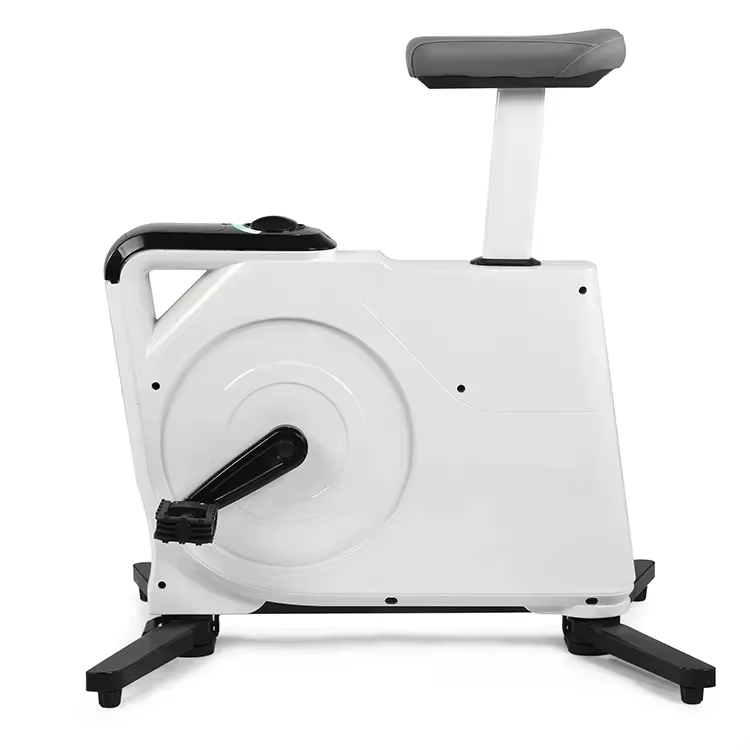 Professional Mini Exercise Bike Magnetic Spin