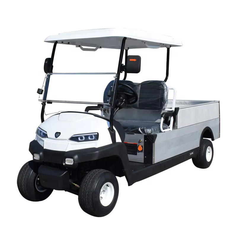 2 seater with cargo box golf cart elektrischgarten  CE approved golf utility cart Electric Resort style buggy