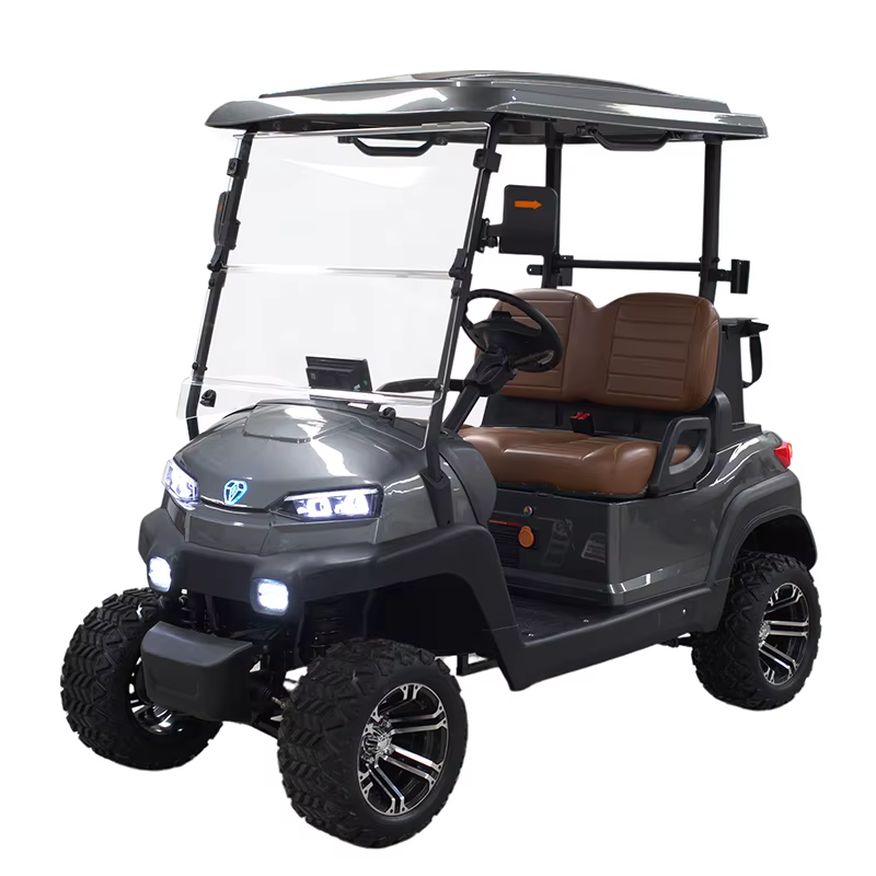 Chinese 2 Seater Electric Golf Carts
