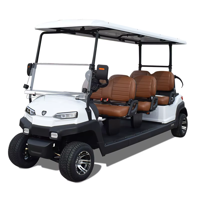 ZYCAR Electric Golf Car Multifunctional 6