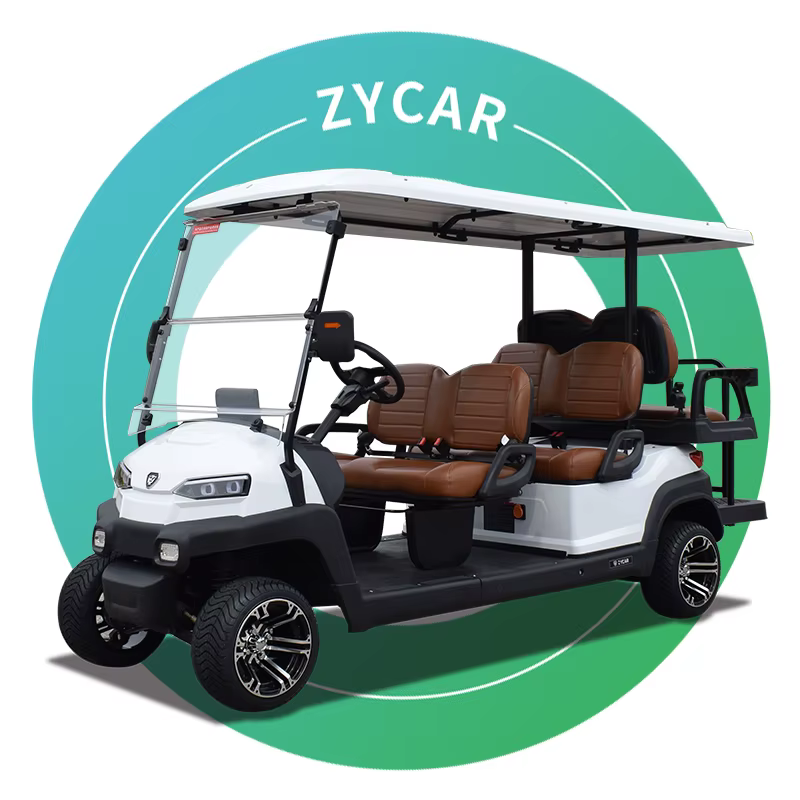 ZYCAR Brand Intelligent 6 Seat Golf