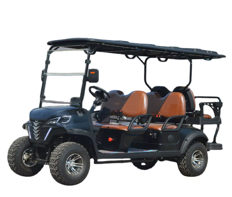 6 Person Seater Prices Waterproof Electric